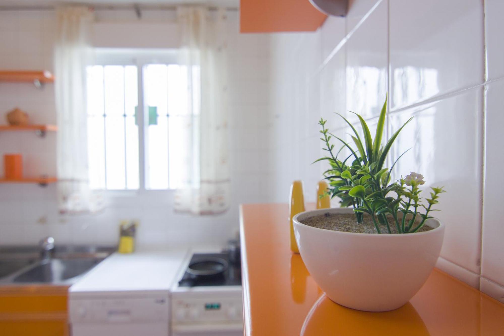 RentalSevilla Acogedor apartamento rodeado de palacios Exterior foto